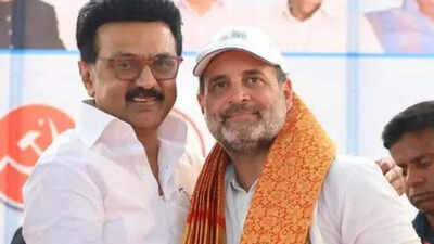 'Will fight together for democracy': Rahul Gandhi thanks MK Stalin and Kanimozhi for birthday wishes after Congress-DMK split | India News