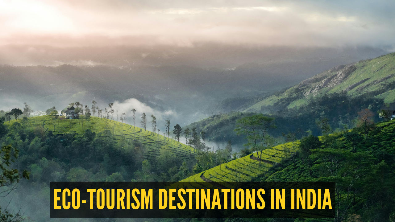 5 eco-tourism destinations in India that are saving nature while welcoming travellers