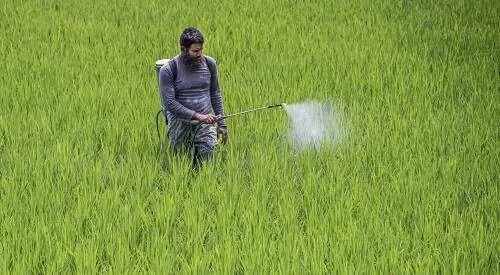 Bengal ranks high in agriculture and health, low in environment and public infra: Report | Kolkata News