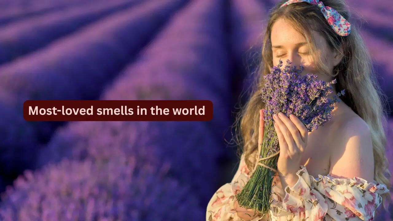 10 most-loved smells in the world and where travellers can experience them