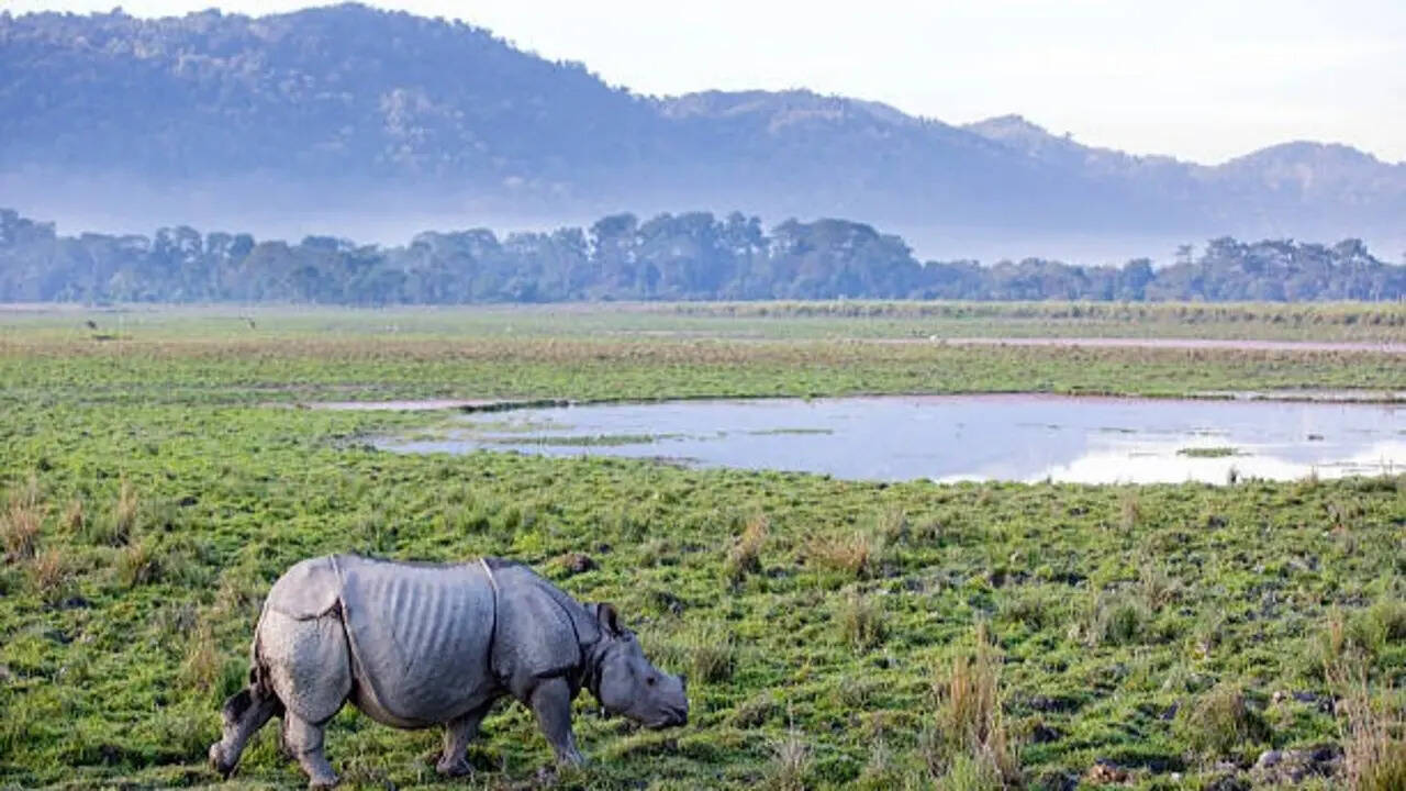 7 Most beautiful grasslands to visit in India