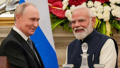'Any sanctions threat would boomerang': Putin hails India's stance against foreign diktats | India News