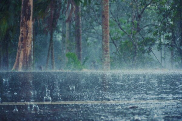 Monsoon travel alert: Heavy rain warning issued for Uttarakhand, UP and MP; what travellers should know before hitting the road