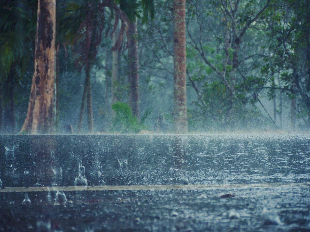 Monsoon travel alert: Heavy rain warning issued for Uttarakhand, UP and MP; what travellers should know before hitting the road
