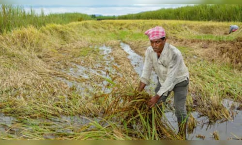 PM Kisan 23rd installment: When will farmers get next ₹2,000? Check timeline, beneficiary status