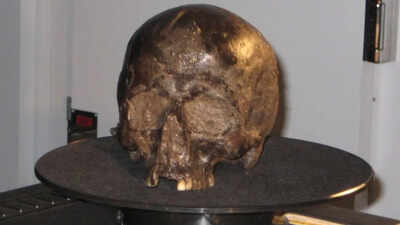 Scientists found a 2,600-year-old brain inside an Iron Age skull and it was still intact |