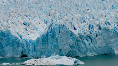 Scientists revive microbes frozen for thousands of years beneath Arctic ice |