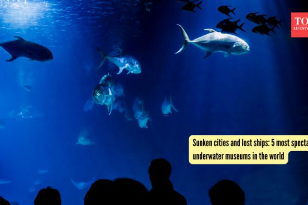 Sunken cities and lost ships: 5 most spectacular underwater museums in the world