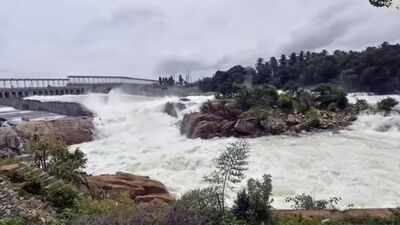 'Not at all acceptable': Tamil Nadu assembly passes resolution against Karnataka’s Mekedatu dam project | Chennai News