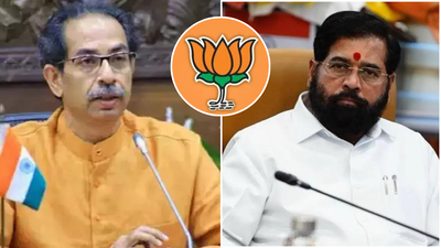 From split to stitch-up? Shiva Sena factions hint at reunion amid BJP's dominance | India News