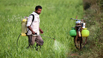 Fertilisers: 'It takes time to restart plants': Hormuz reopening may not ease fertiliser woes anytime soon, say industry executives