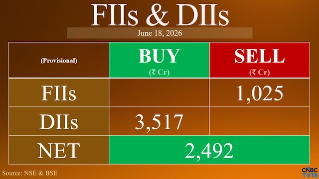 DIIs buy ₹3,517 crore, offset FII selling as markets extend winning streak