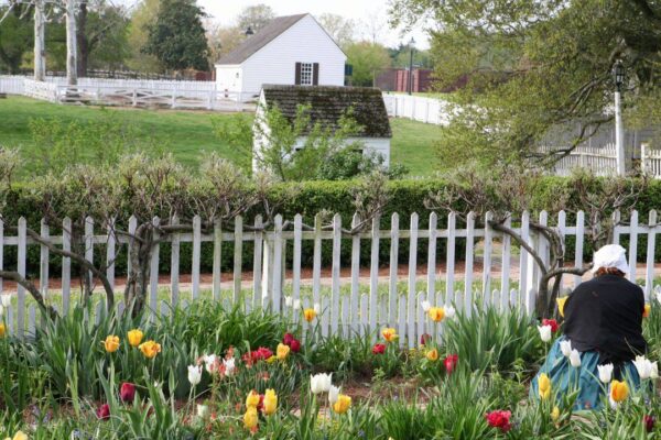 Colonial Williamsburg: Explore the birthplace of the American Revolution as the U.S. celebrates it's 250th anniversary this year