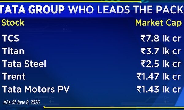 TCS has lost more market value than the Tata Group during the first six months of the year