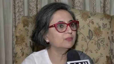 'It destroys academic freedom': TMC on VBSA bill as JPC defers report | India News