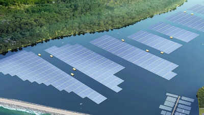 Singapore built a floating solar farm in the sea, but thousands of barnacles turned it into an engineering challenge that could sink its 13,000 solar panels | World News