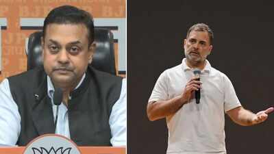 'Was given a full opportunity': BJP counters Rahul's 'not allowed to speak' claim in Lok Sabha | India News