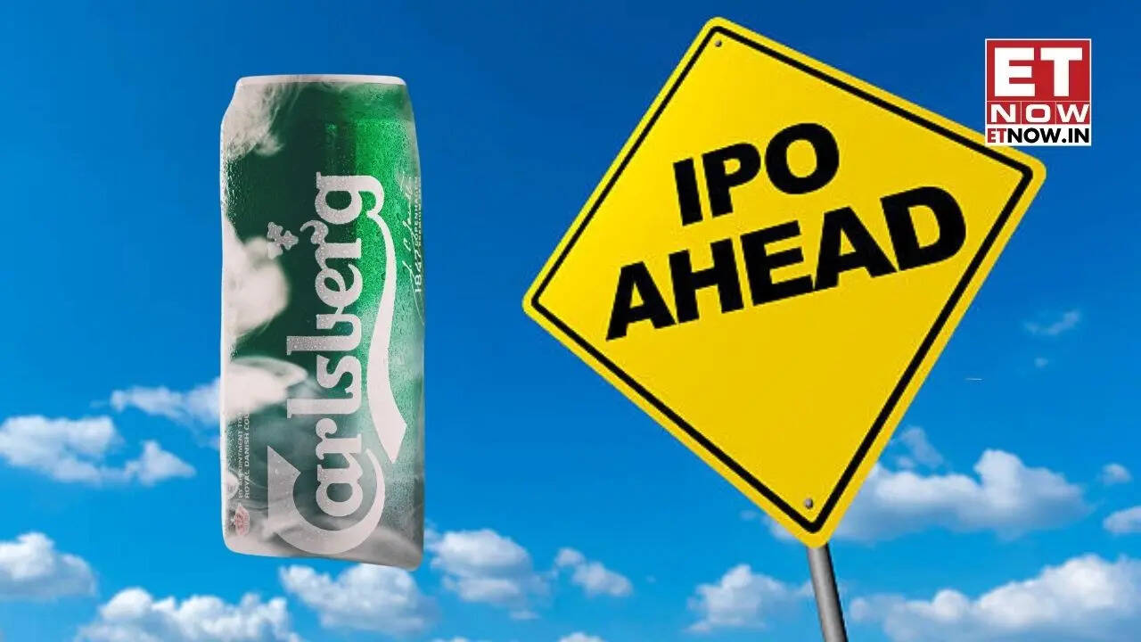 Carlsberg IPO: Danish brewer files draft papers confidentially for India unit initial public offering - Markets