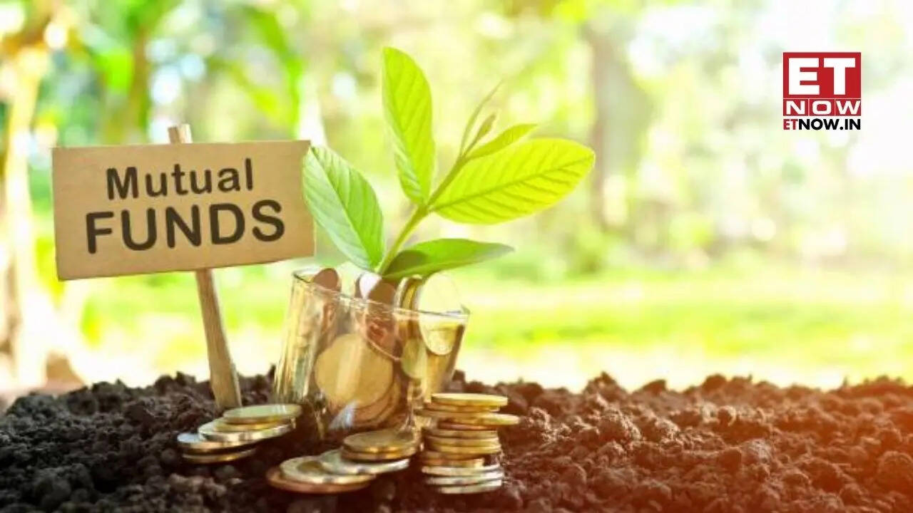 Small Cap Mutual Funds: Top 5 schemes deliver up to 25% returns in just 6 months - Check holdings and full LIST - Markets