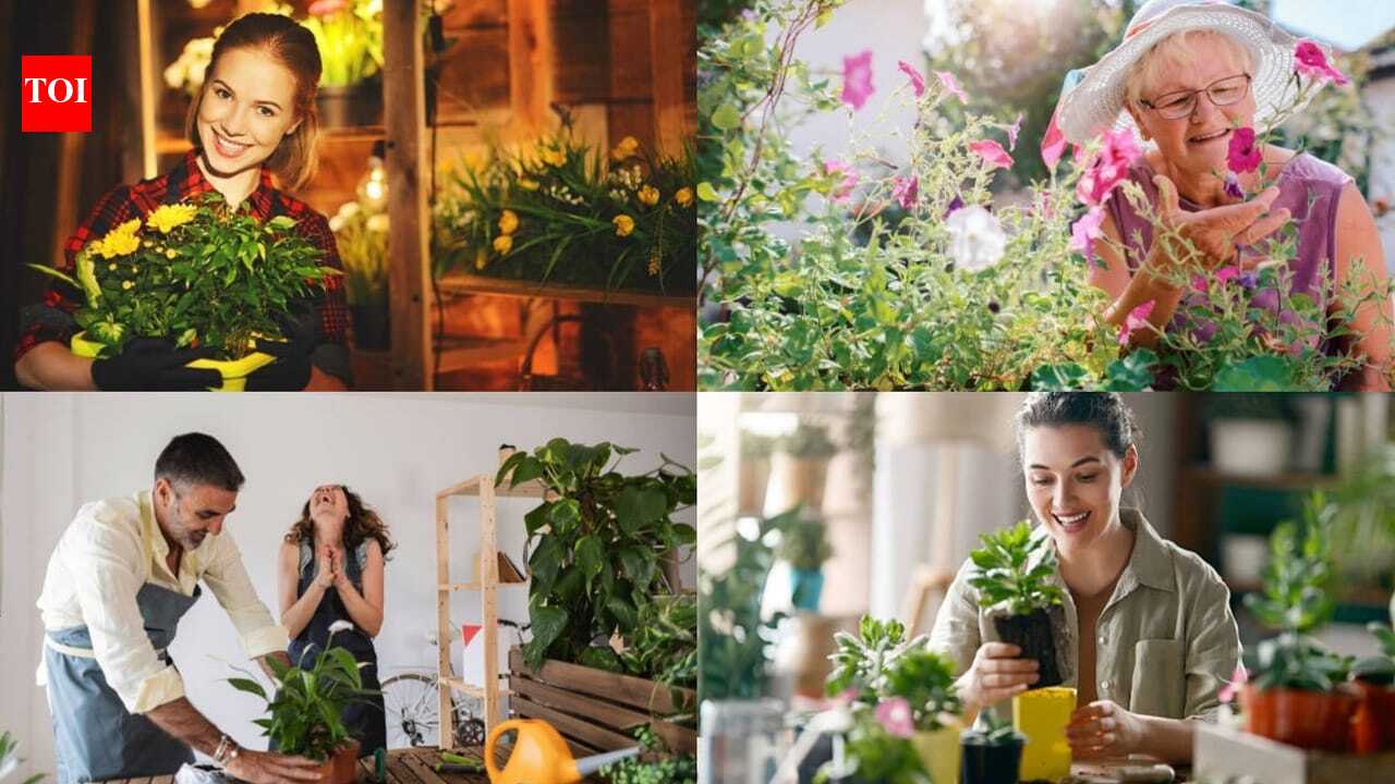 Houseplants: Psychology says people who buy more plants are happier; the real reason has nothing to do with gardening