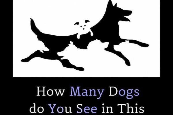 Optical illusion challenge: Can you count all the hidden dogs? only sharp-eyed observers get it right |