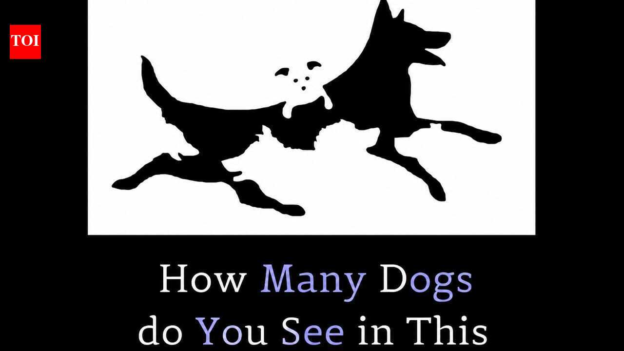 Optical illusion challenge: Can you count all the hidden dogs? only sharp-eyed observers get it right |