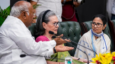 Govt fixing polls with EC's help: INDIA bloc to CJI | India News