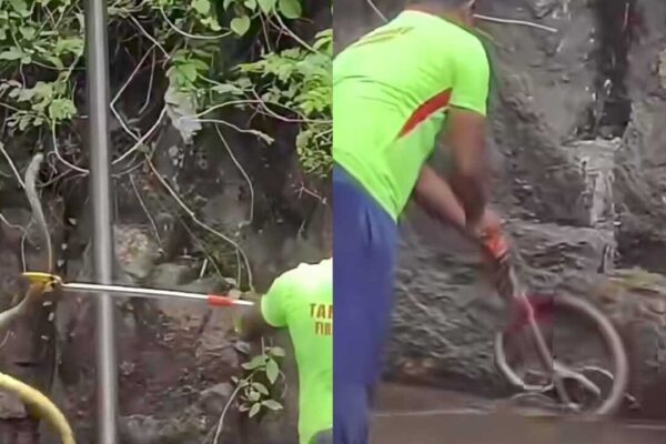 Courtallam Falls Snake Incident: Snake scare at Courtallam falls leaves tourists stunned, visitors seen running around pushing each other as snake slithers nearby; rescue video goes viral