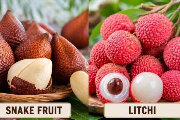 Snake fruit vs Litchi: How these tropical fruits differ in origin, taste, season and more |