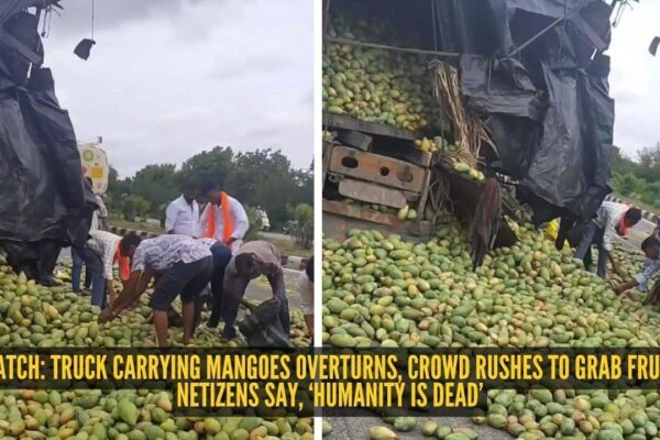 Watch: Truck carrying mangoes overturns, crowd rushes to grab fruit; netizens say, ‘Humanity is dead’ |