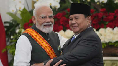 'I copy your career': Indonesia's President praises PM Modi's 'progress', banquet erupts in applause | India News