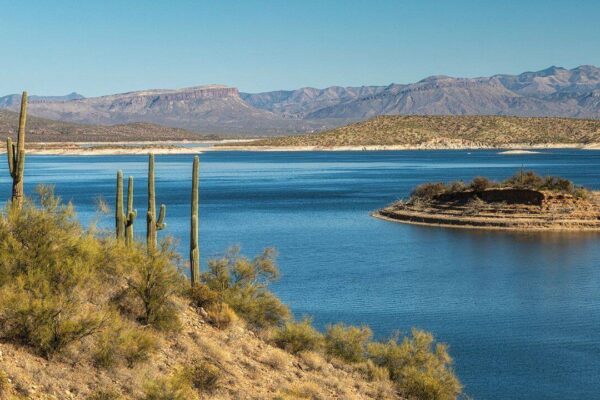 Arizona man arrested after allegedly living in national forest for 8 years amid 1,000 pounds of garbage