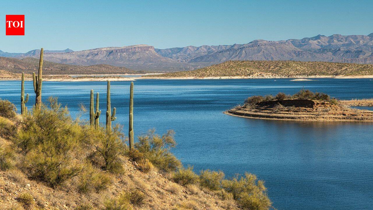 Arizona man arrested after allegedly living in national forest for 8 years amid 1,000 pounds of garbage