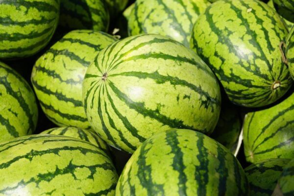 The sweetest watermelon is often the ugliest: 7 signs to look for before buying |
