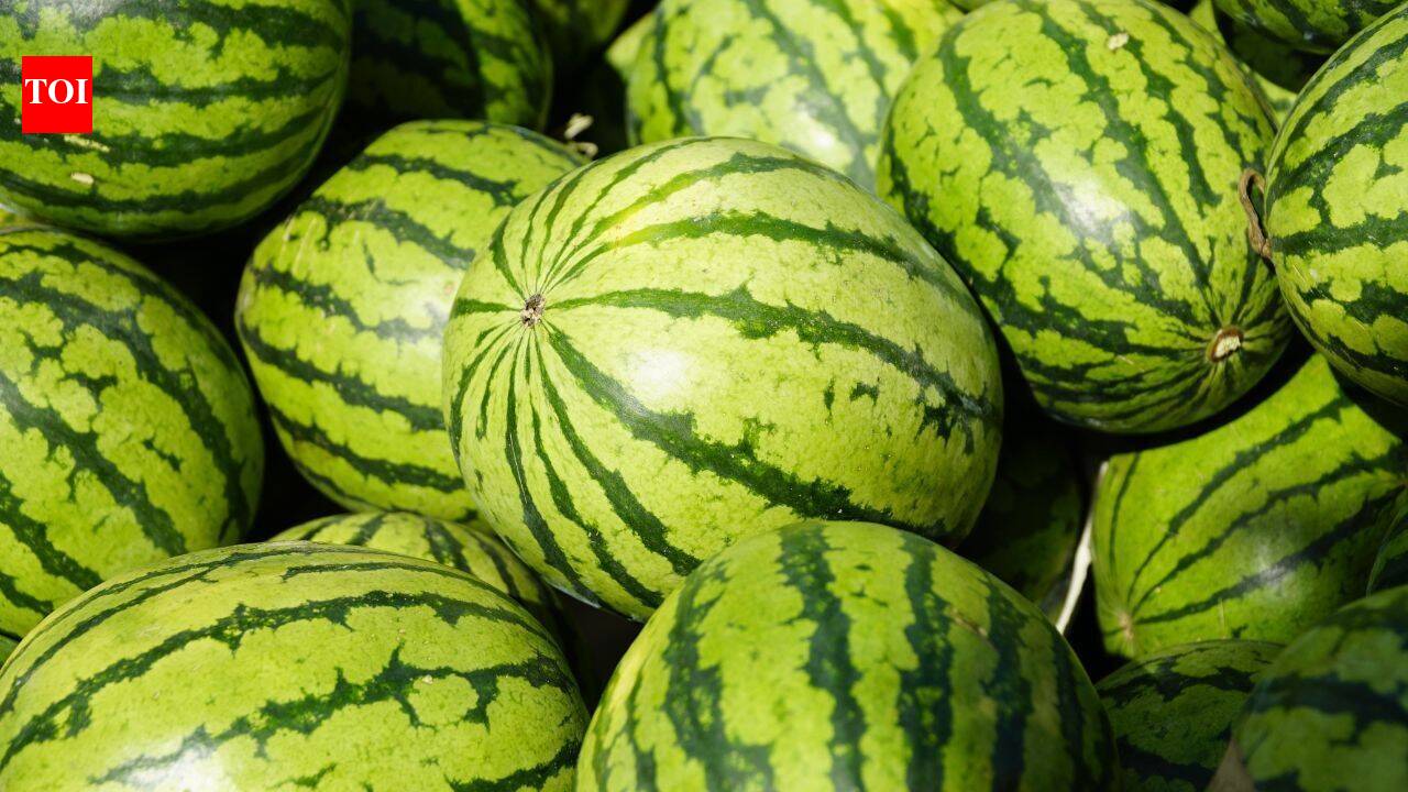 The sweetest watermelon is often the ugliest: 7 signs to look for before buying |