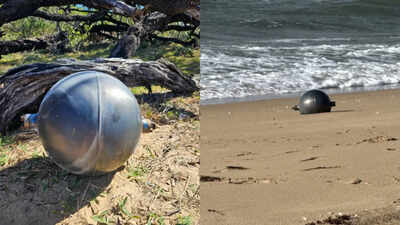 Mysterious 'space balls' twice the size of basketballs wash ashore on Australian beach, scientists say the discovery is more common than many people think