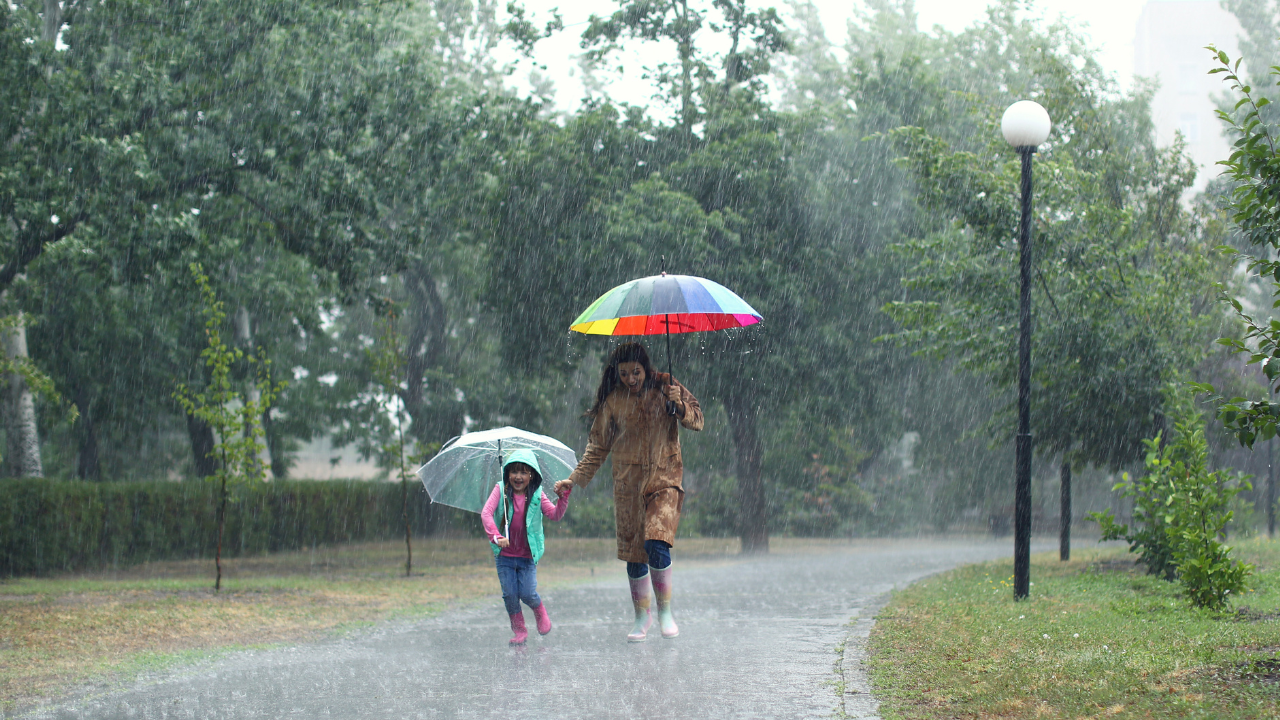 Monsoon demands extra attention for children: The after-school routine every parent should follow |
