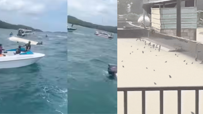 Evening news wrap: 15 Indian tourists killed in Vietnam boat accident, twin typhoons batter China & more | India News