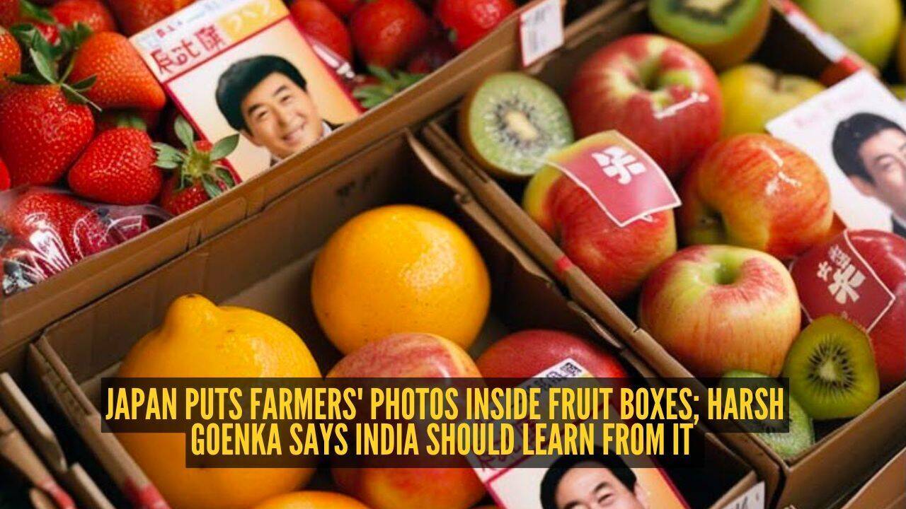 Harsh Goenka: Japan puts farmers' photos inside fruit boxes; Harsh Goenka says India should learn from it