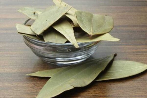 Health Benefits Of Bay Leaves: 5 Health benefits of bay leaves: Why this everyday kitchen spice deserves a spot in your diet
