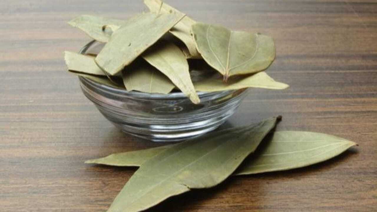 Health Benefits Of Bay Leaves: 5 Health benefits of bay leaves: Why this everyday kitchen spice deserves a spot in your diet