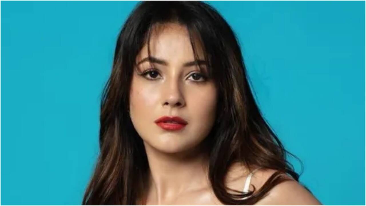 'People who show me attitude need it'; Shehnaaz Gill's sharp reply on therapy sparks debate | Hindi Movie News