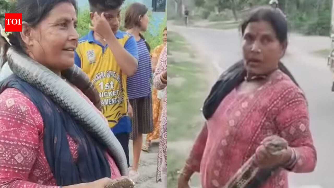 King Cobra Rescue: Bihar: 'Snake lady' rescues 10-foot king cobra from home; villagers left stunned |