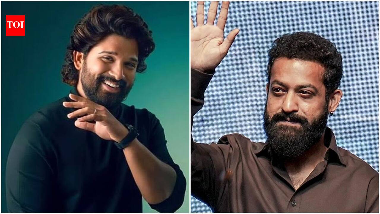 72nd National Film Awards: Jr NTR celebrates Telugu cinema; 'Pushpa' actor Allu Arjun says, 'Celebrating the very best of Indian cinema' | Telugu Movie News