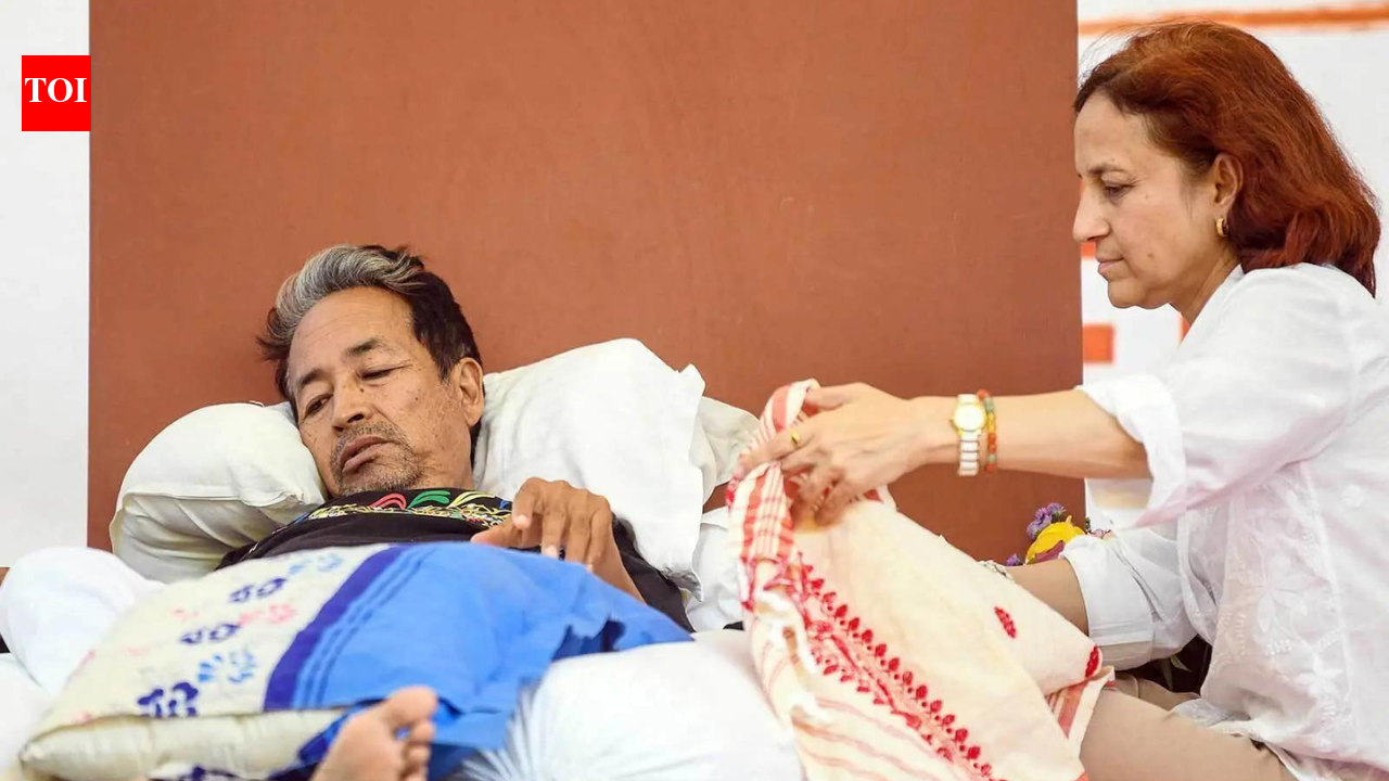 'Govt was within its right': Why Delhi HC backed Sonam Wangchuk's hospital shift | India News