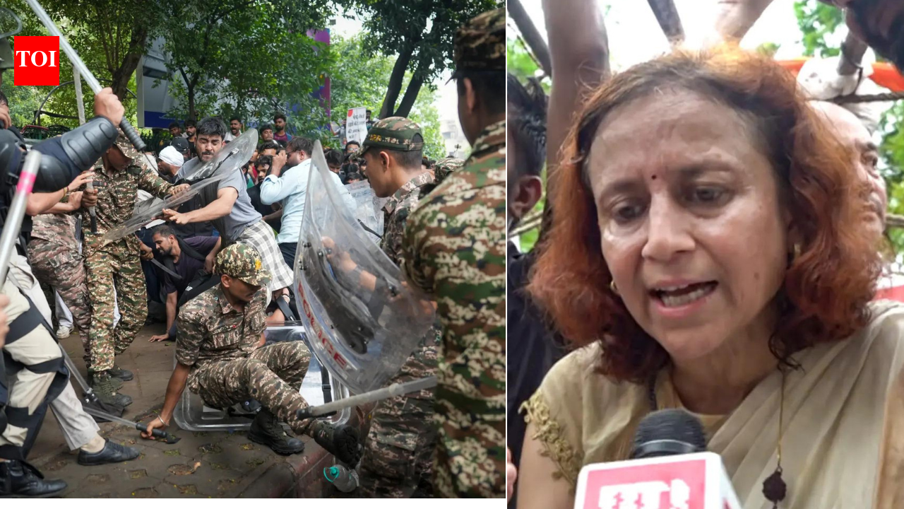 50 cops hurt, stones pelted, Wangchuk's wife 'assaulted': Protest turns ugly as Delhi Police, CJP make conflicting claims | India News