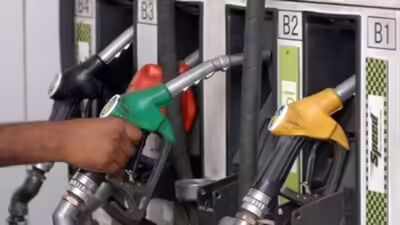 No decision on ethanol blending beyond 20%: Govt | India News