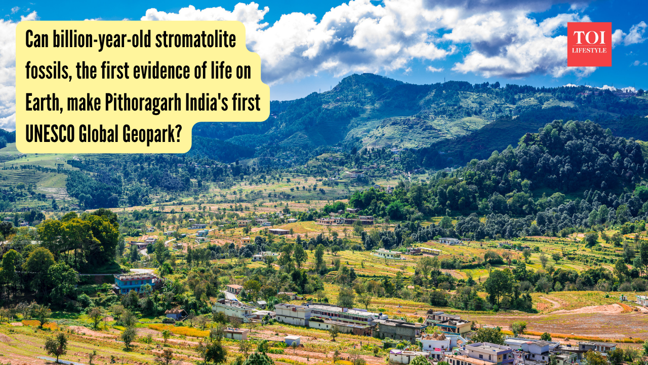 Unesco Global Geopark: Can billion-year-old stromatolite fossils, the first evidence of life on Earth, make Pithoragarh India's first UNESCO Global Geopark?