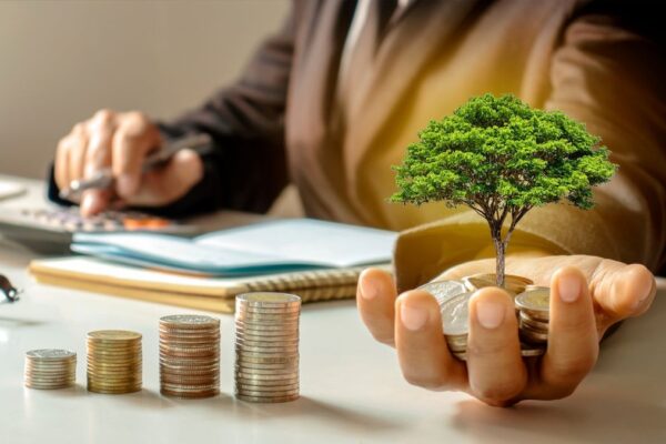MF Corner: Anup Maheshwari says focus on earnings, stick to flexi-cap funds for long-term wealth