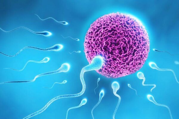 How IVF changed millions of lives: The story behind World IVF Day